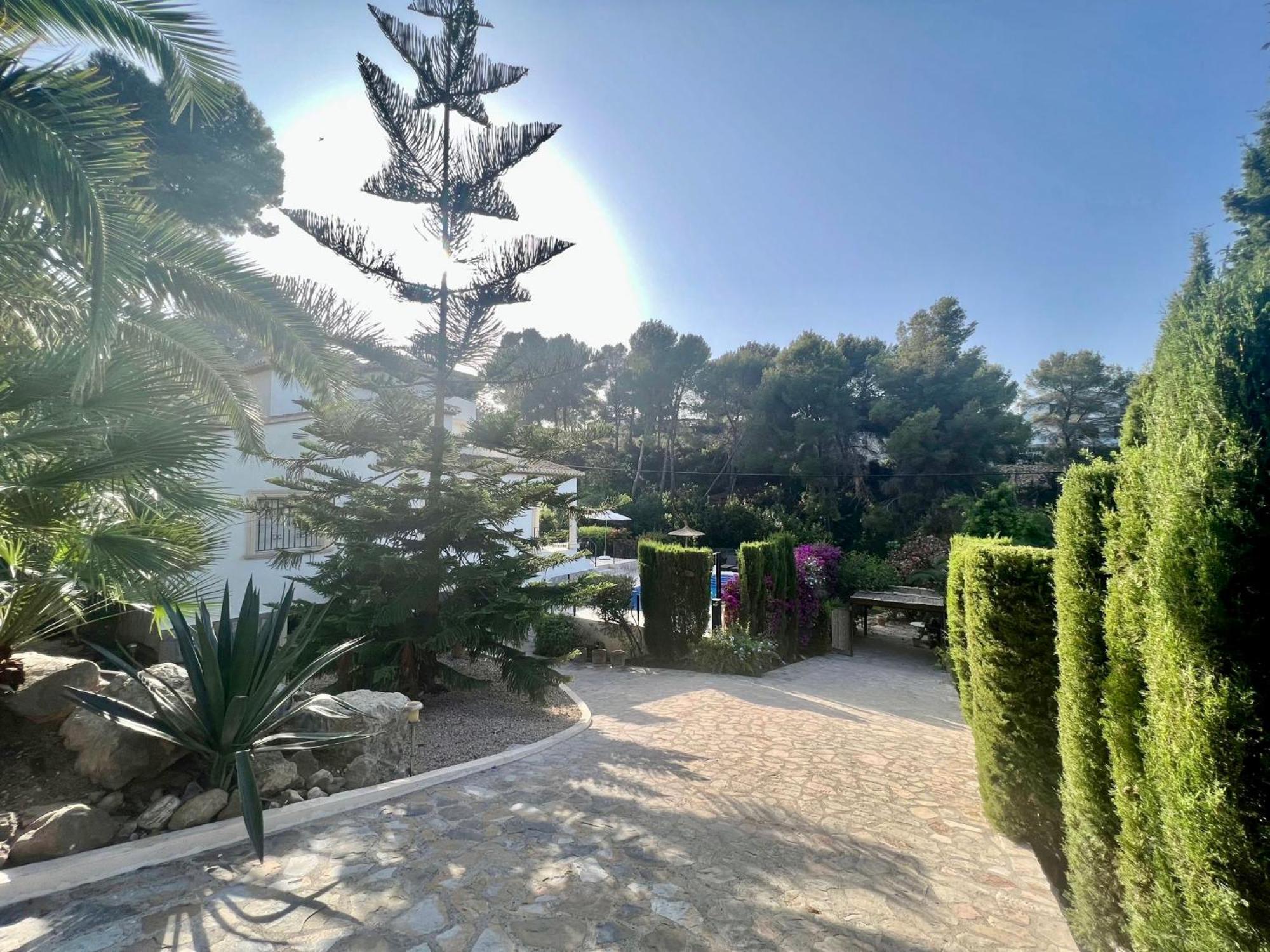Palmera Jávea Esterno foto